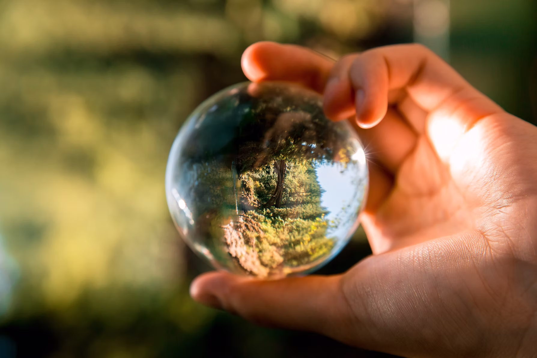 1f5f45 0e3afbb0453f44cf8579ad944563d9bb~mv2