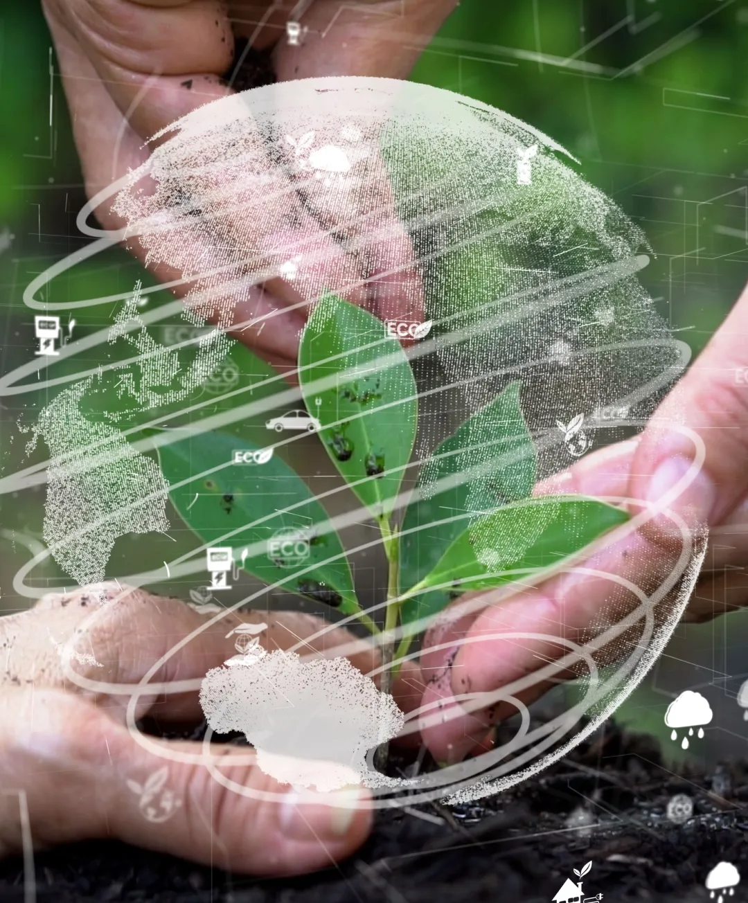 img turn environmental policy into everyday practice 2x