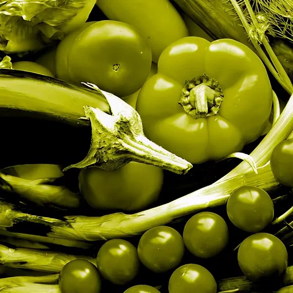 iso 22000 lead implementer 2x